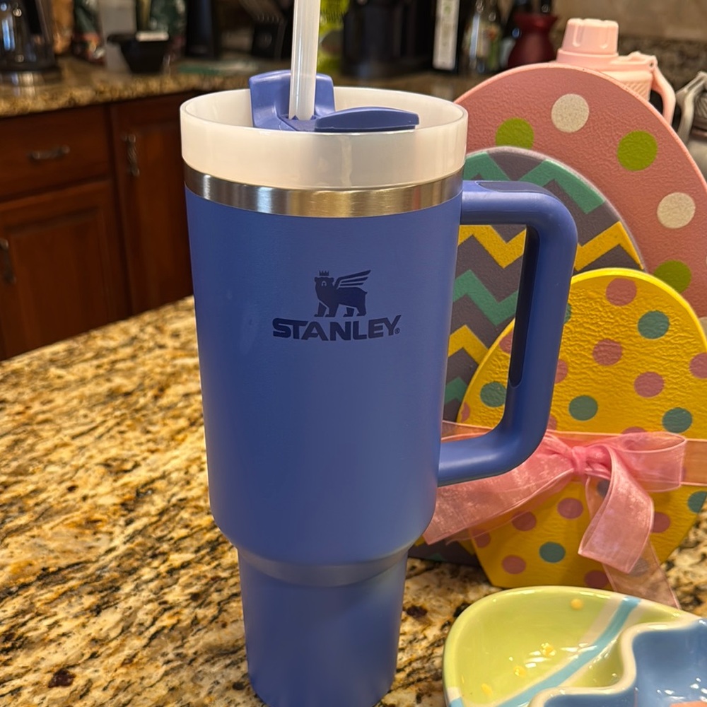 Stanley Blue Insulated Water Bottle with Straw